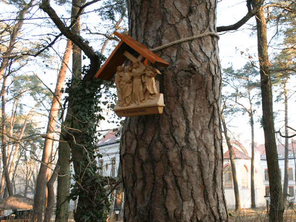 powiększ zdjęcie 
